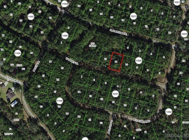 1327 E Urmey Place, Citrus Springs, FL 34434