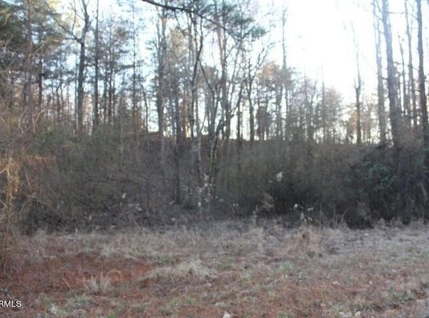 COUNTY ROAD 786 Lot 2, Etowah, TN 37331