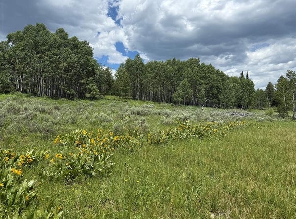 21405 HOPI WAY, Oak Creek, CO 80467
