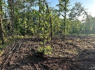 1100 PR 8012, Broaddus, TX 75929