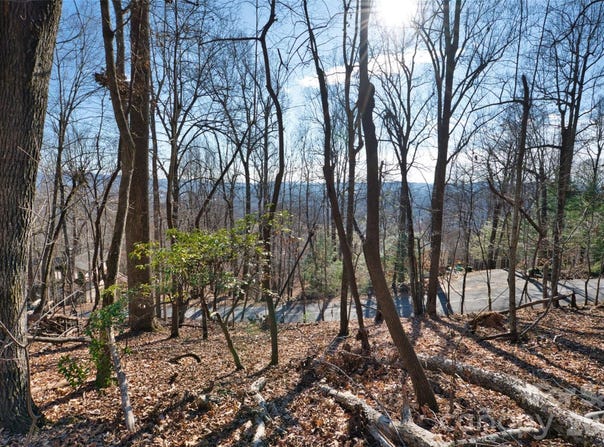 9999 Walnut Drive, Mills River, NC 28759