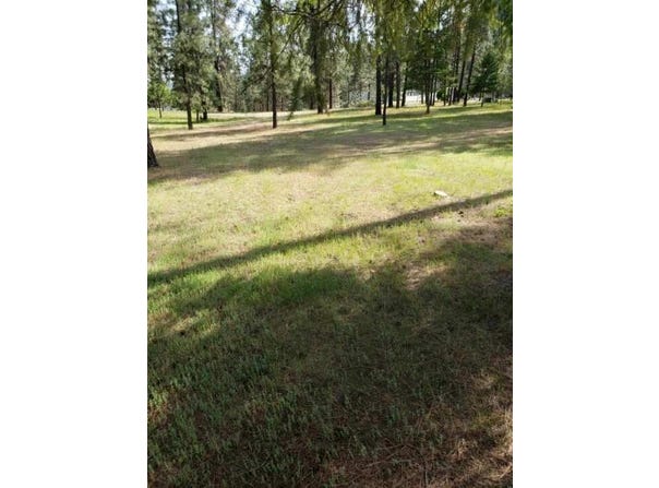 256 EAGLE DR. DR, CHEWELAH, WA 99109