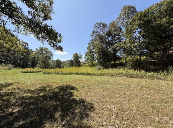 2443 BRUCE ALLEN RD, HINTON, WV 25951