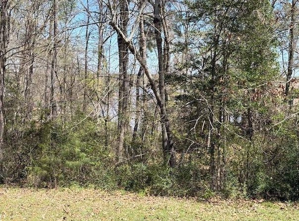 Sunray Lane, Many, LA 71449