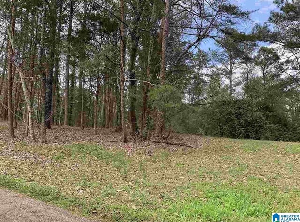 6830 OAK LEAF WAY lot: 01, PINSON, AL 35126