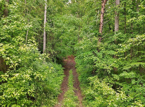 201 Birch Hollow Rd, Maynardville, TN 37807
