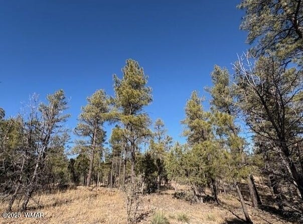 3211 W Black Oak Loop, Show Low, AZ 85901
