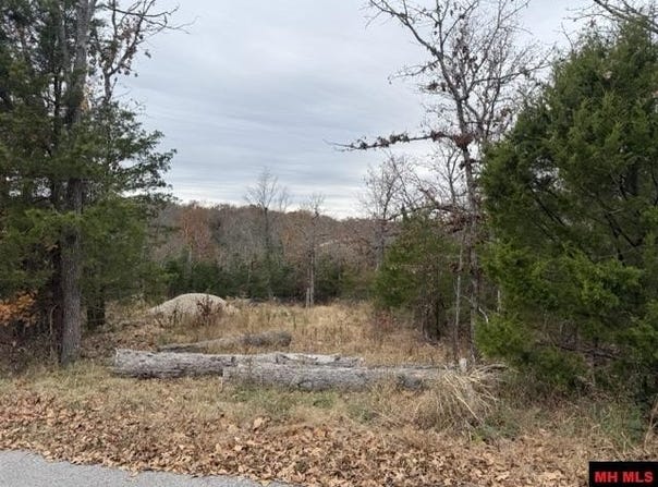 002-10735-000 WILDWOOD CIRCLE, Mountain Home, AR 72653