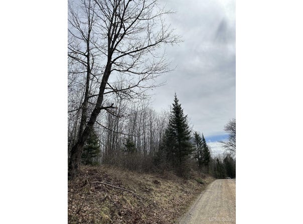 Net River Road, Crystal Falls, MI 49920