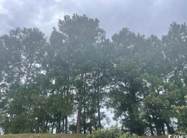 Della Rd., Longs, SC 29568