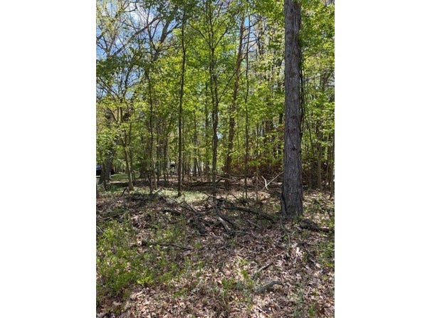 11513 Hillary Drive, Jerome, MI 49249