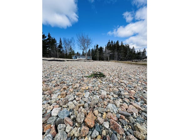 10 Point Road, Steuben, ME 04680