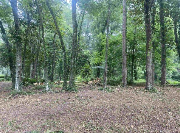 Yvonne Court, Havana, FL 32333