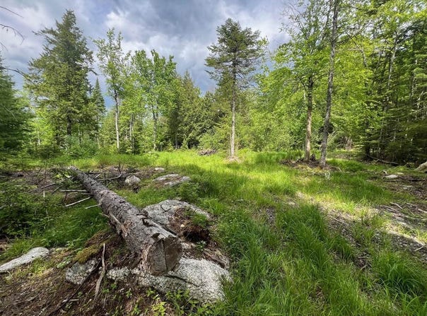 TBD Marks Mountain Way, Dedham, ME 04429