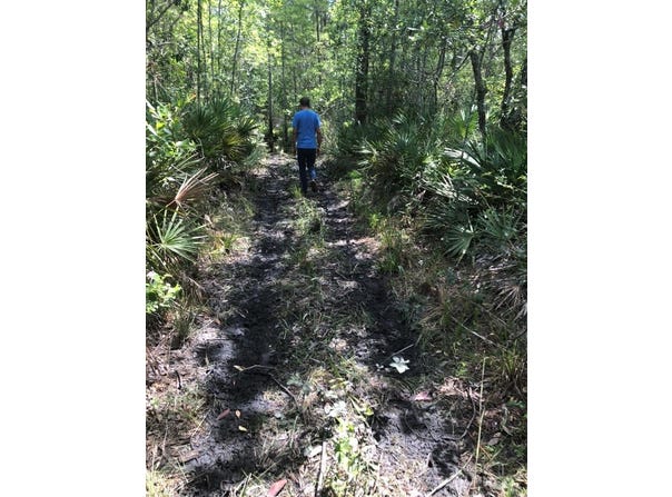 2449 OLD TRAIN ROAD, DELTONA, FL 32738