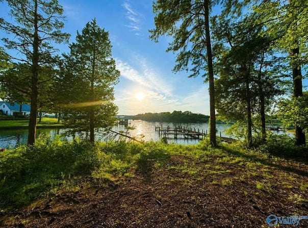River Pointe Drive lot: 19, Cedar Bluff, AL 35959