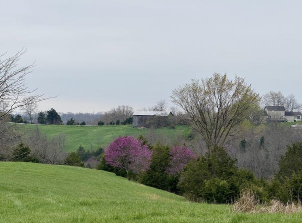455 Mason Sipple Road, Williamstown, KY 41097