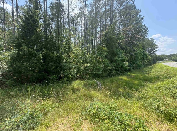 0 Hwy 19, Vina, AL 35593