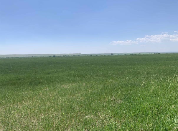 TBD Lower Spring Creek Road, Hermosa, SD 57744