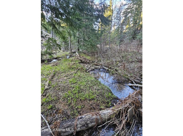 NKA Alder Way, St. Maries, ID 83861