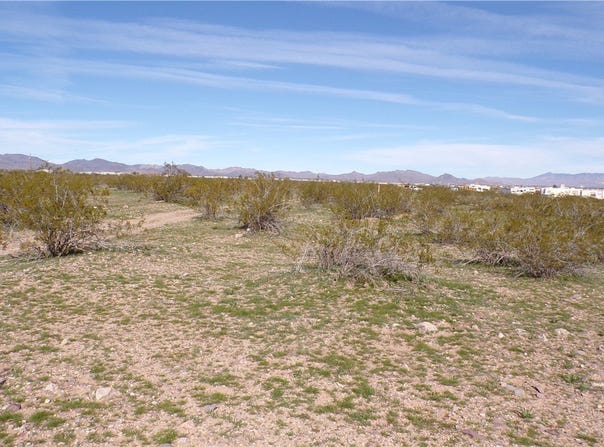 306-18-099 S Canelo, Golden Valley, AZ 86413