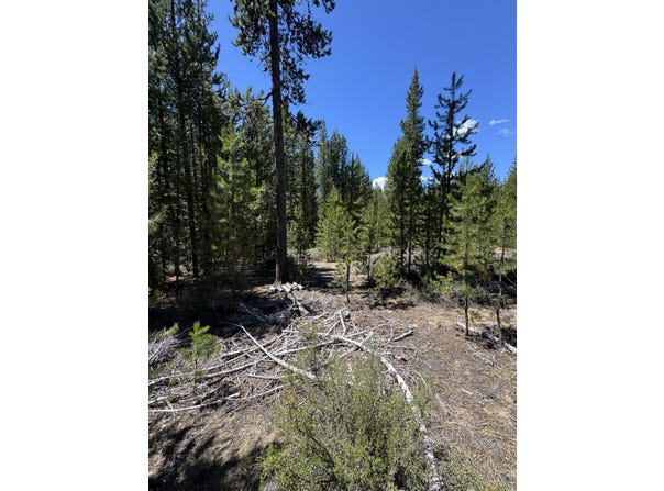Lot 23 Crescent Moon Drive, Crescent Lake, OR 97733