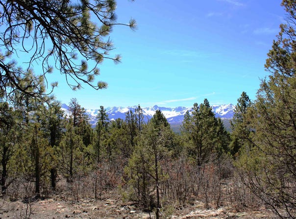 Old Relay Road, Ridgway, CO 81432