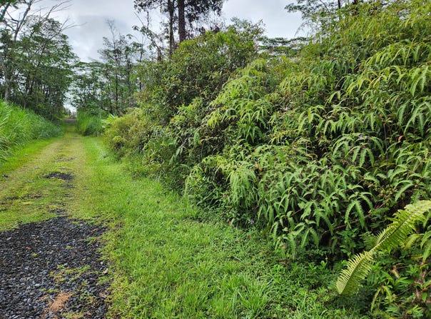 MAUI RD, Pahoa, HI 96778