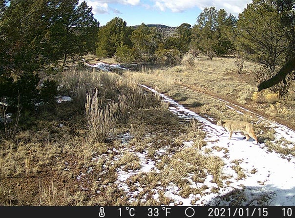 48 & 82 Rancho Mesita, Santa Fe, NM 87508