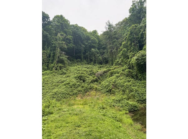 181 Ma and Pa Road, Jackson, KY 41339