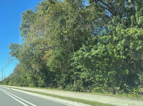 Lot 40 State Road 46 Road, Sanford, FL 32771