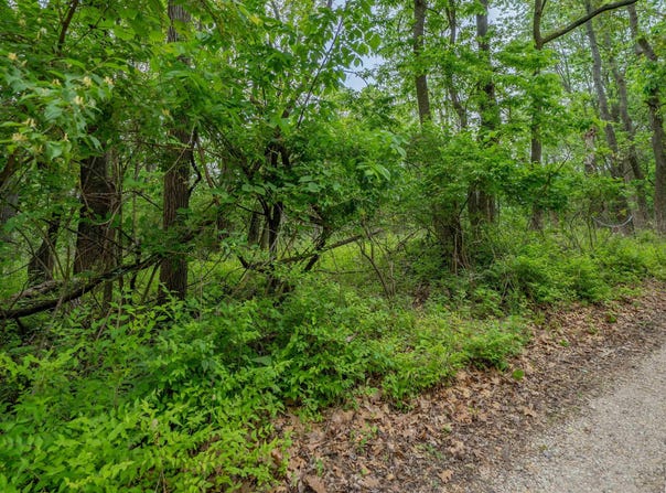 N STEWART Street, Creve Coeur, IL 61610