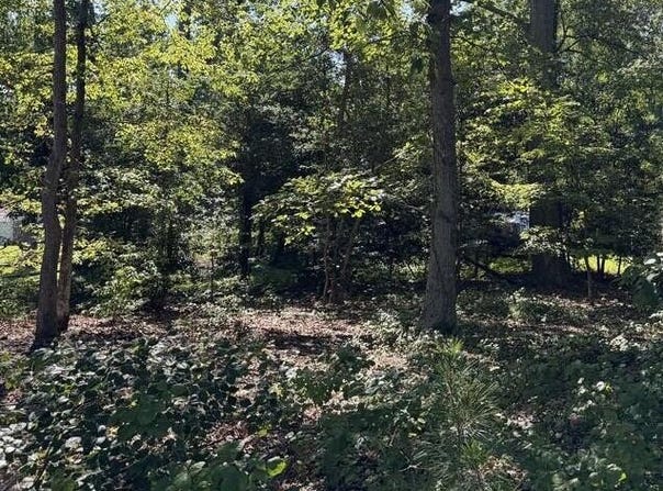 McCormick Drive lot: 45, REEDVILLE, VA 22539
