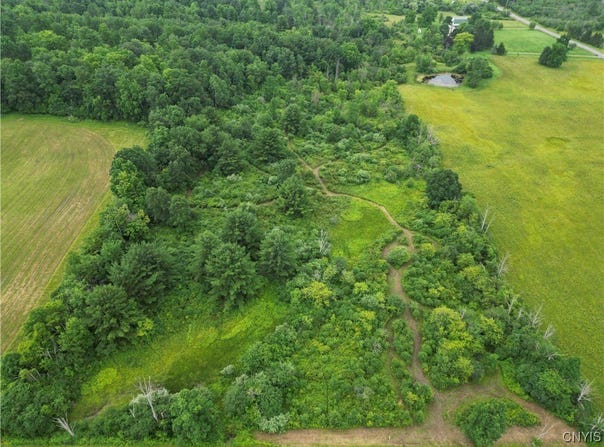 County Road 114, Wayne, NY 14840