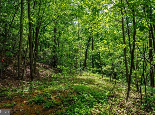 0 HELMS RD, STANLEY, VA 22851