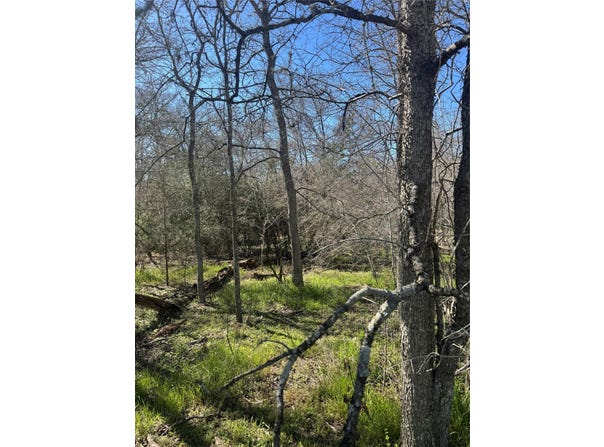 289 Iva LN, Bastrop, TX 78602