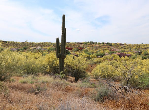 42652 N 22ND Street, New River, AZ 85087