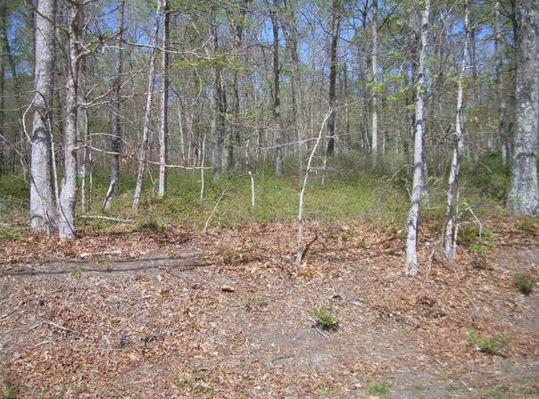 HARDING WHY 000, Buena Vista Township, NJ 08310