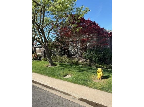 725 N Silvervale Drive, Visalia, CA 93292