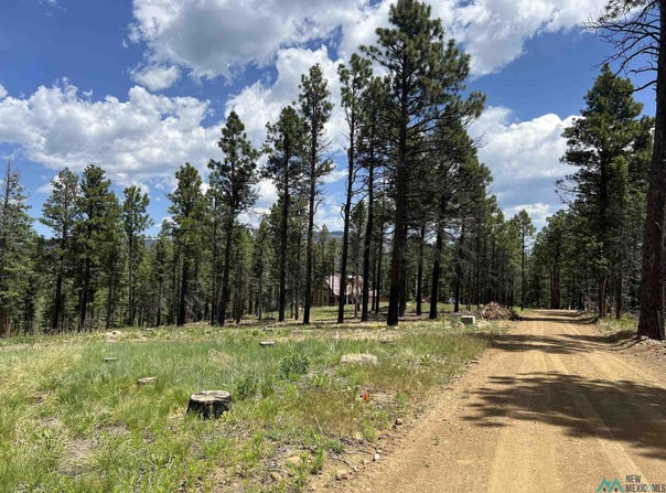 163 Goleta Court, Rociada, NM 87742