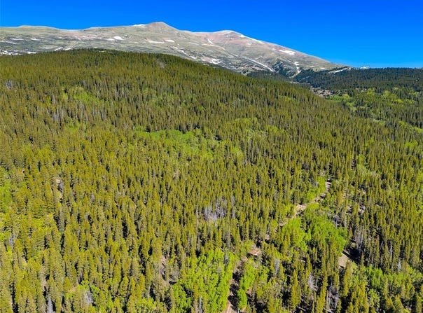 715 LEWSADER ROAD, Alma, CO 80420
