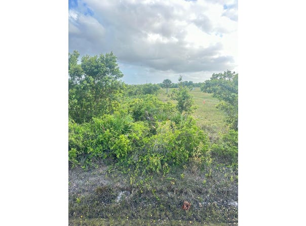 16220 NW 264th Street, Okeechobee, FL 34972