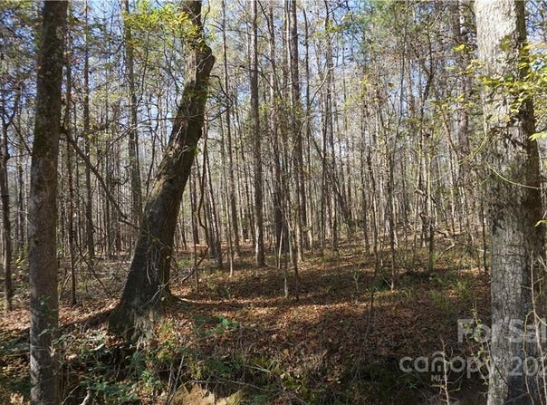10.64 AC Burree Road, Clover, SC 29710