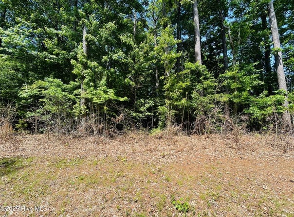 40 Comanche Trail, Hertford, NC 27944