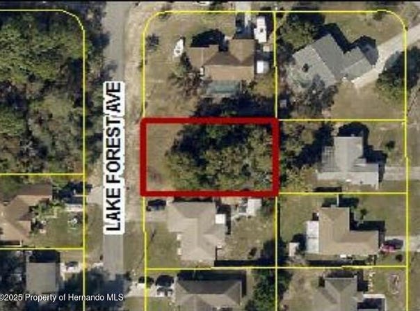 Lake Forest Avenue, Spring Hill, FL 34609