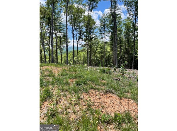 Lot 95 The Ridges, Morganton, GA 30560