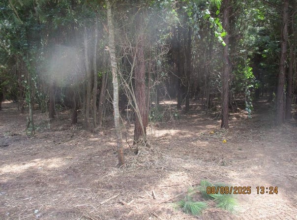 5218 CR 8, Pansey, AL 36370