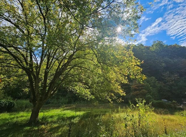 7841 Hwy 1690, Louisa, KY 41230