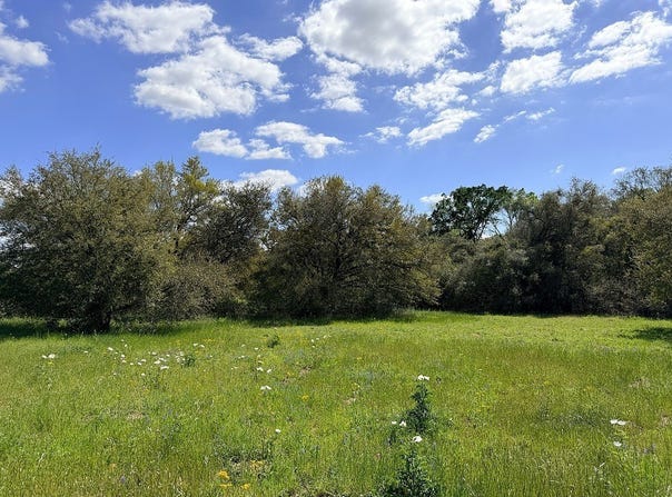 TBD Loose Cow Road, Garwood, TX 77442