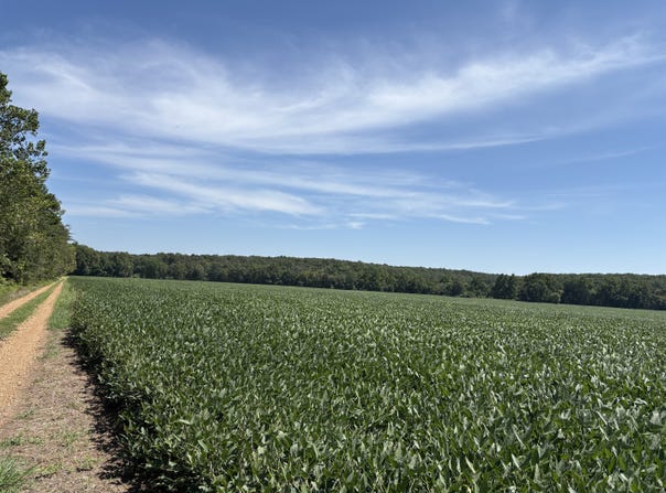 31820 County Road 317, Belle, MO 65013
